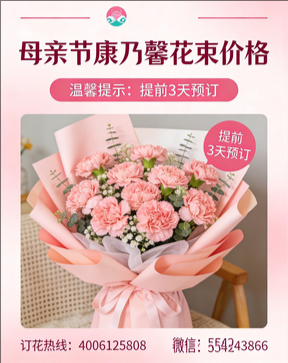 六安舒城县花店母亲节康乃馨花束