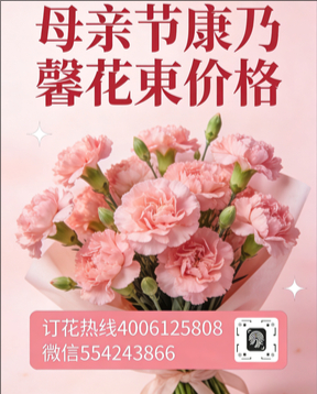 六安舒城县花店母亲节康乃馨花束